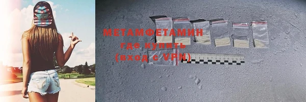 гидра Ельня