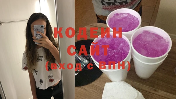 твердый Гусев